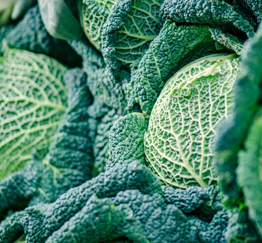 Prodotti freschi dal campo